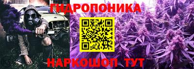 ПСИЛОЦИБИНОВЫЕ ГРИБЫ Кингисепп