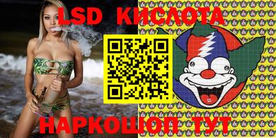 ПСИЛОЦИБИНОВЫЕ ГРИБЫ Кингисепп