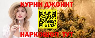 гашик Кимры