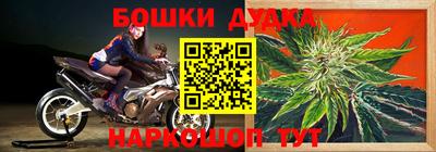 ПСИЛОЦИБИНОВЫЕ ГРИБЫ Кингисепп