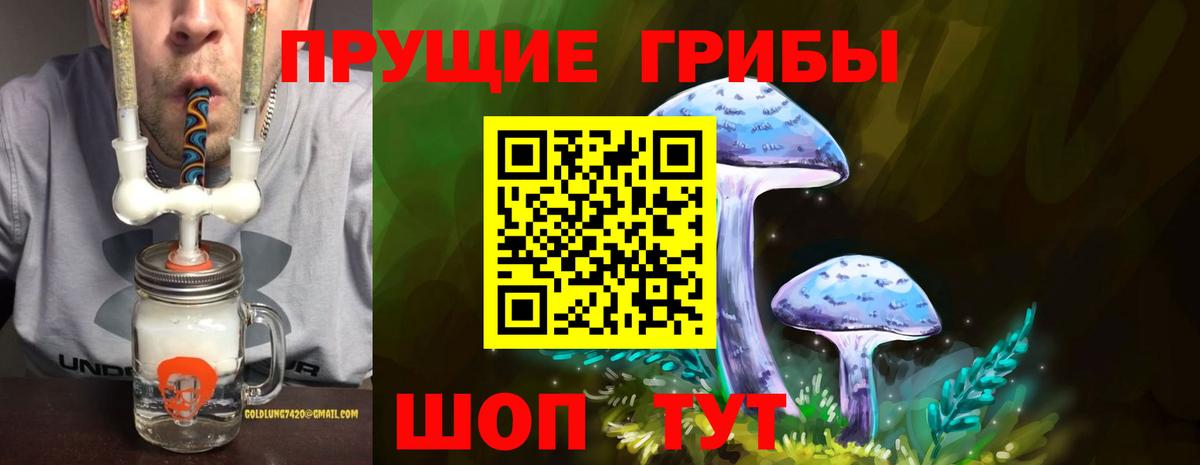 Галлюциногенные грибы Psilocybine cubensis Янаул
